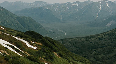 香蕉漫画读懂不靠灵感：先处理这段话把例子当证据了吗，再把传播链画成流程（读完更好讲）